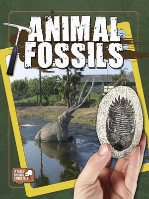 cover image of Animal Fossils